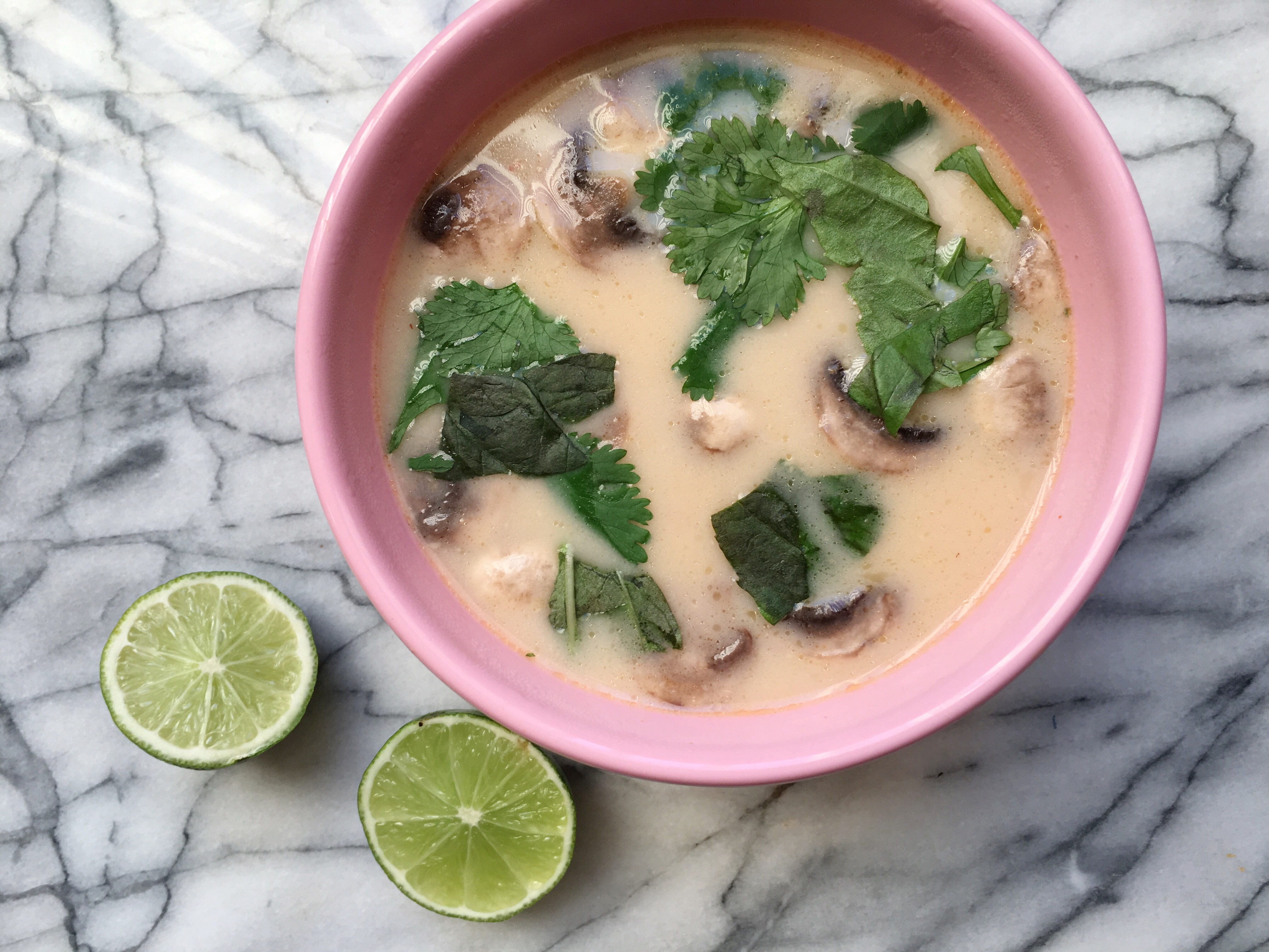 easy-to-make-soup-thai-chicken-coconut-soup-tom-kha-gai-the