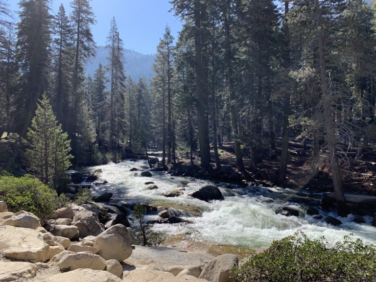 Sequoia National Park 24 Hour Travel Guide - The Active Habitat